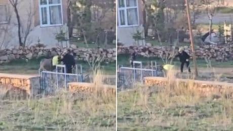 Sivas’ta sopayla eşek öldürüldü: ‘Cezasızlık birilerine cesaret veriyor’
