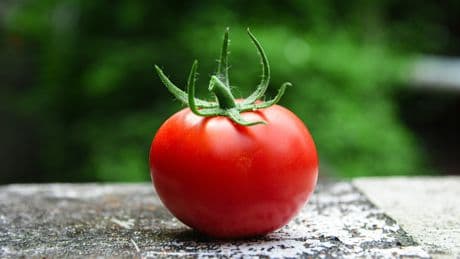 I Just Learned How Rotten Tomatoes Scores Really Work, And It's Way More Complicated Than I Thought