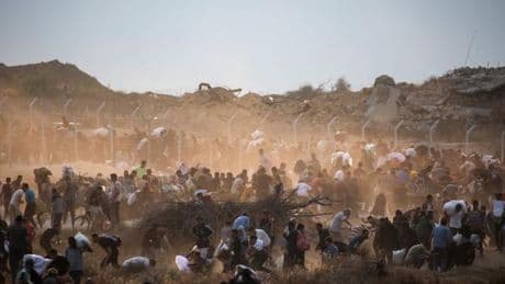 En direct, guerre à Gaza : les dernières informations