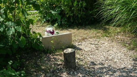 Arbre pour Ilan Halimi abattu: deux suspects ont été interpellés et sont jugés en comparution immédiate