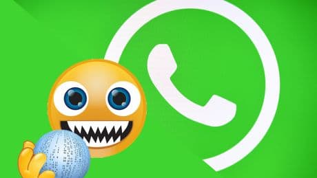 Speicher voll durch WhatsApp? So stoppen Sie die Datenflut