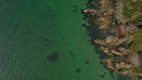 Marine campaigners claim damage to Scotland's seabeds is ‘national scandal’