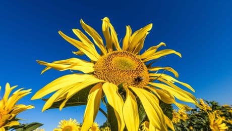 Sommerwetter kehrt zurück - Sonne und rund 30 Grad