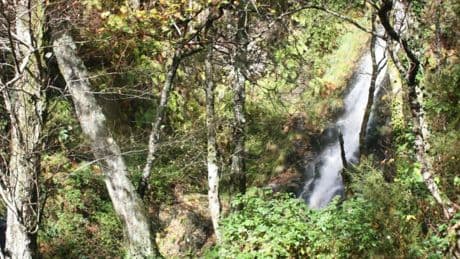 La ruta de senderismo de Galicia por bosques que descubre una cascada de 15 metros de altura
