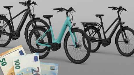 E-Bikes: Das sind die Preis-Leistungs-Testsieger als Trekking-, City-, Cargo-, MTB- und Fully-Pedelecs