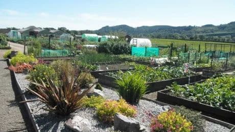 Dalbeattie Community Association to open to visitors as part of Scotland's Gardens Scheme
