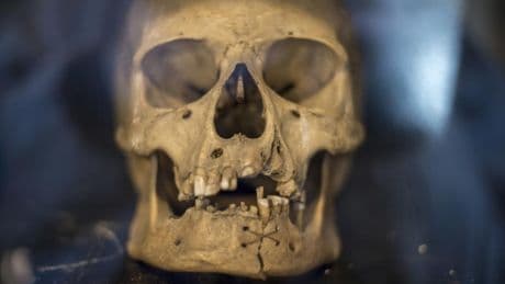 Pourquoi la France restitue trois crânes humains à Madagascar ?