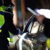 Le nombre de victimes d'accidents provoqués par un conducteur sans assurance ou en délit de fuite est en augmentation