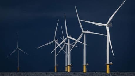 Bouw nieuwe windparken valt stil, waarschuwt sector minister Hermans