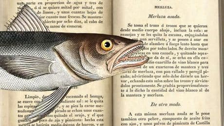La merluza a la vasca de don Mariano