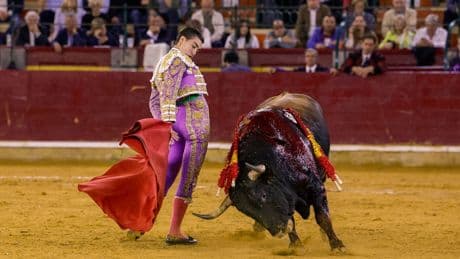 Así fueron las las dos cornadas sufridas por el torero Bruno Aloi en El Álamo: una de ellas es de 30 centímetros
