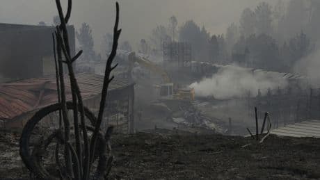 Las pérdidas económicas por los incendios de este verano rebasan ya en nueve veces las de todo 2024:  "Vamos a tardar años en recuperarnos"