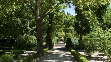 Identifican un mecanismo que permite a las plantas responder al nivel de estrés