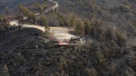 Así han quedado algunas zonas de Ourense tras los devastadores incendios que han arrasado ya casi 70.000 hectáreas