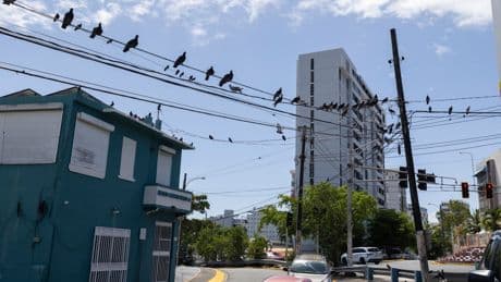 Deal to restructure Puerto Rico power company debt crumbles as some bondholders walk away