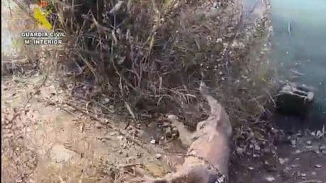 Un detenido y una investigada por atar a un perro con cadenas y bloques de hormigón y ahogarlo en una laguna de Madrid