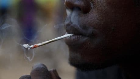 Au Sénégal, les ravages du kush, la « drogue du zombie »