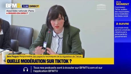 "SkinnyTok": TikTok défend des mesures de modération "proportionnée"