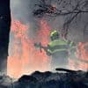 Jusqu’à 70 kilomètres de portée : comment des caméras aident à lutter contre des incendies en Anjou