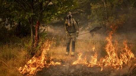 La tempestad del fuego amaina pero persisten focos de alta peligrosidad