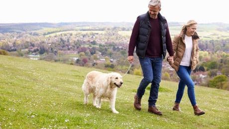 Dog owners are 'making one mistake' that could stop pet listening to you