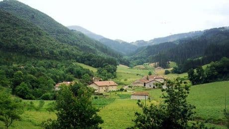 Burgos, paraíso primaveral para amantes de las setas: del Valle de Mena a la Demanda