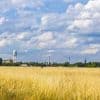 Egal ob mit oder ohne Bebauung: Senator Gaebler will Tempelhofer-Feld-Gesetz ändern
