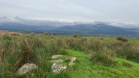 Dumfries and Galloway Council set to trigger public inquiry over controversial windfarm plans