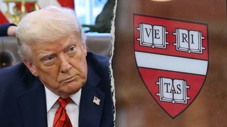Harvard professor reveals university was 'not ready' after Oct 7 as Trump revokes tax-exempt status