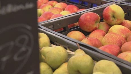 Goede en vooral veel appels en peren dit jaar, maar fruit niet direct goedkoper