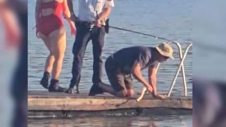 Er biss fünf Schwimmer - Polizei erschießt riesigen Wels im Brombachsee