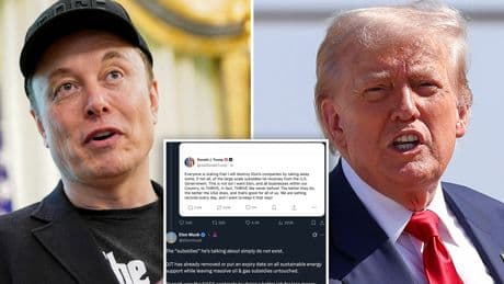 Elon Musk hits back at Trump after president said he didn’t want to strip Tesla boss of subsidies