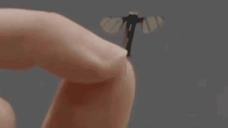 China unveils eerie mosquito-sized drone designed for stealth military operations