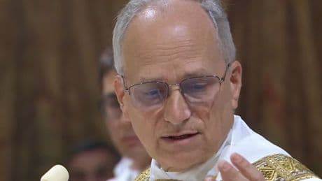 Pope Leo accused of failing to properly investigate allegations of child sexual abuse in his church