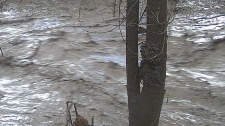 Flash Flooding in Ruidoso, New Mexico, Sweeps Homes Away and Forces Rescues