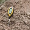 Vous avez un sol alcalin et calcaire dans votre jardin ? Voici comment le végétaliser