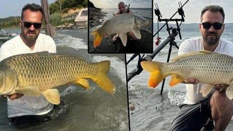 Sapanca Gölü’nde bunu beklemiyorlardı! Suya geri bıraktılar