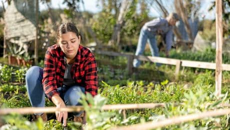 Gîte et couvert contre travail obligatoire : le nouveau paradoxe écolo