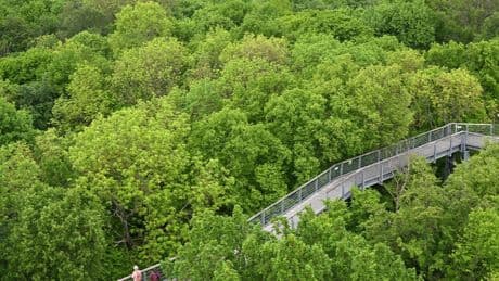 Welterbetitel: Zum Welterbetag durch Buchenwälder und historische Mauern