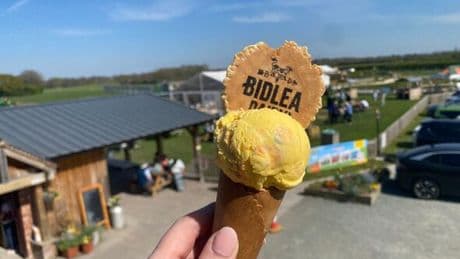 Harry Style's childhood hometown has a top ice cream shop, famous bakery, and its own zoo