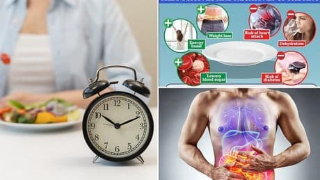 Fascinating simulation shows what a 24 hour fast does to the body - triggering 'deep repair'