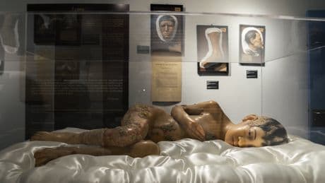 El destino maldito del museo de las personas más desgraciadas del mundo: de una sala de aeróbic a ser expulsado de la Complutense