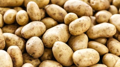 Kartoffeln: Mit diesem Trick bleiben Sie länger haltbar