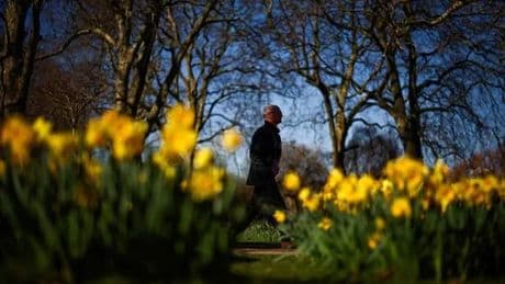 UK has sunniest spring on record but what are the implications of the dry spell?