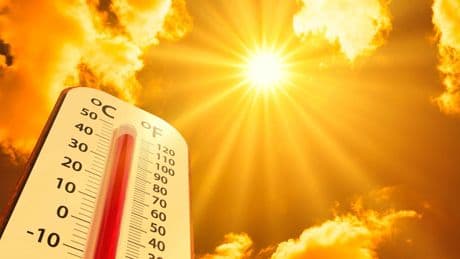 Meteoroloji'den yüksek sıcaklık ve rüzgar uyarısı! Yangın riskine dikkat!