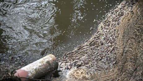 Water pollution across UK surged by nearly a third and highest in decade