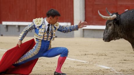 Al Alimón: &quot;Cuando hay toros hay emoción&quot;