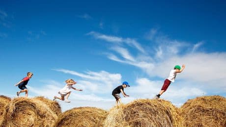 Allergie: Warum haben so viele Menschen Heuschnupfen?