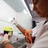 Chikungunya : pourquoi la vaccination des seniors est stoppée à la Réunion