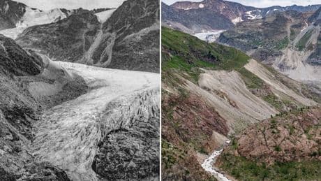 Klimawandel: Der Schatz aus dem Eis